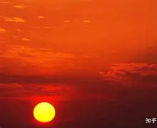 IM电竞官网-nba太阳主教练