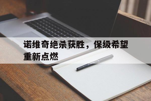IM电竞官网-诺维奇吧