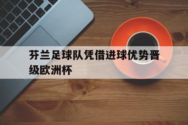 IM电竞官网-芬兰足球队凭借进球优势晋级欧洲杯了吗